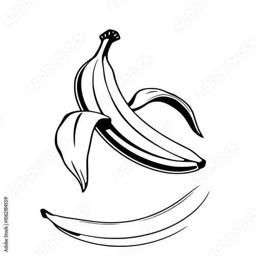 banana illustration