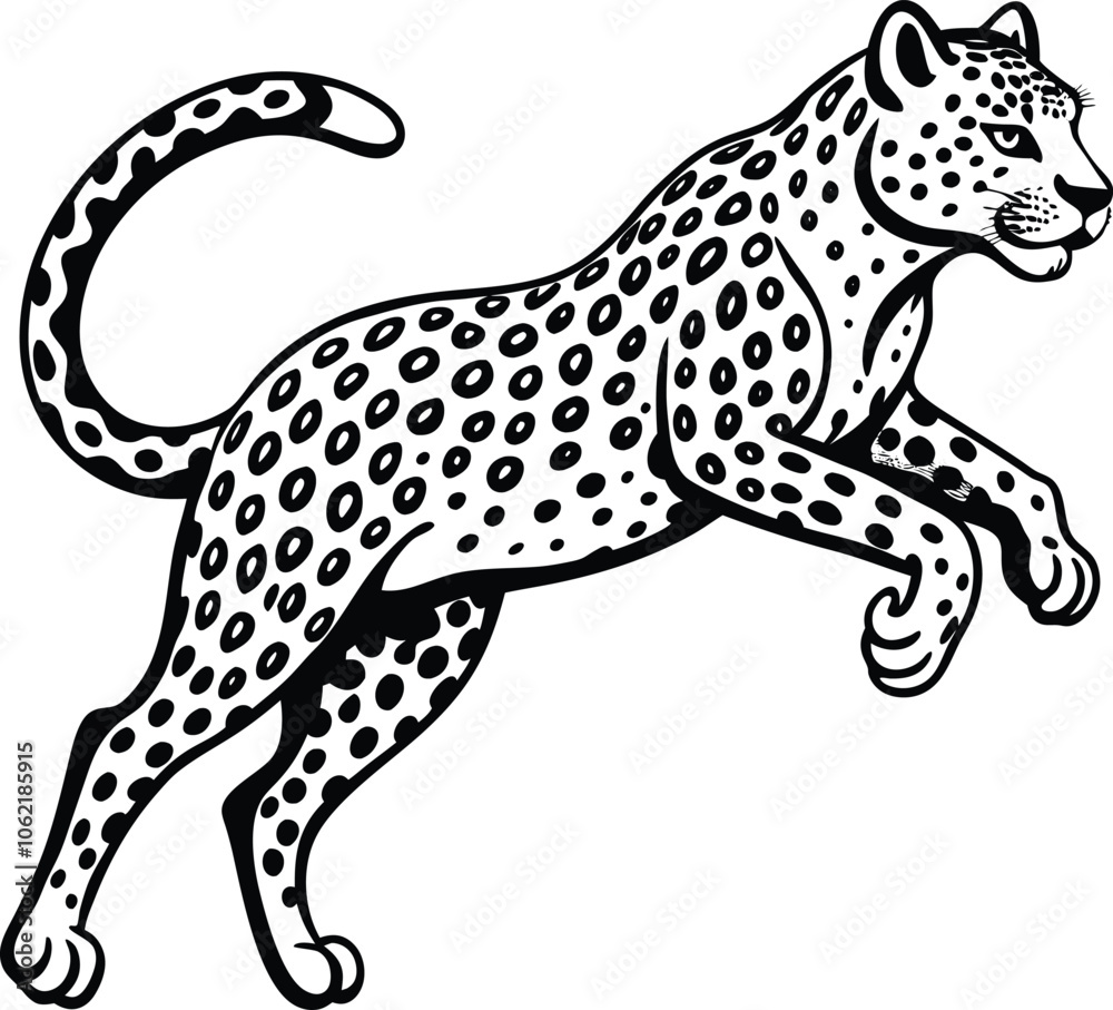snow leopard jump on white background snow leopard jump on white background