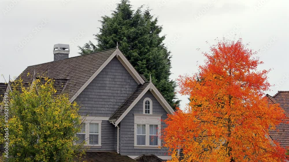 Establishing shot. Top of luxury house with big tree and nice landscape at fall rainfall in Vancouver, Canada, North America. Day time on October 2024. ProRes 422 HQ. Establishing shot. Top of luxury house with big tree and nice landscape at fall rainfall in Vancouver, Canada, North America. Day time on October 2024. ProRes 422 HQ.