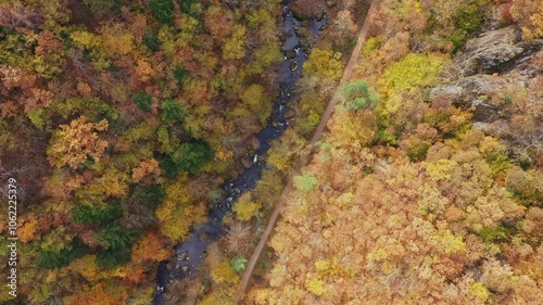 Autumn landscape on the ecotrail in the forest near Devin, Smolyan, Bulgaria