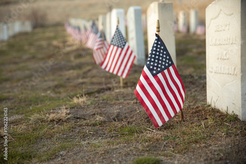 American Flags at Military Cemetery Honoring Veterans' Sacrifice