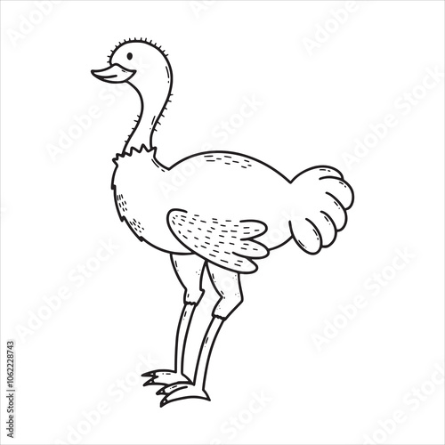 Ostrich sketch art icon vector illustration photo