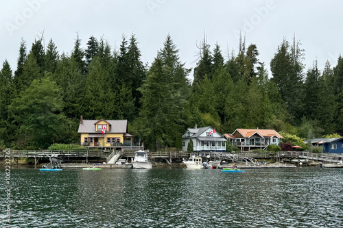 Waterfront houses on the shore, Bamfield, British Columbia, Canada photo