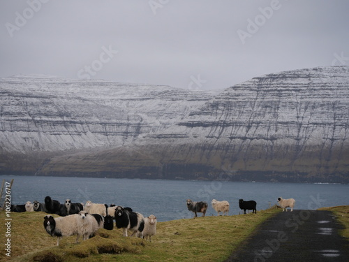 Faroe Islands photo