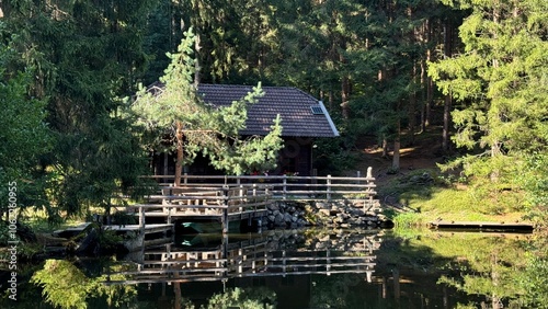 house in the woods photo