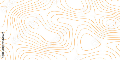 Abstract topography wave lines pattern on white background, topographic contours map background, geographic contour map vector background, White paper curved reliefs for background.