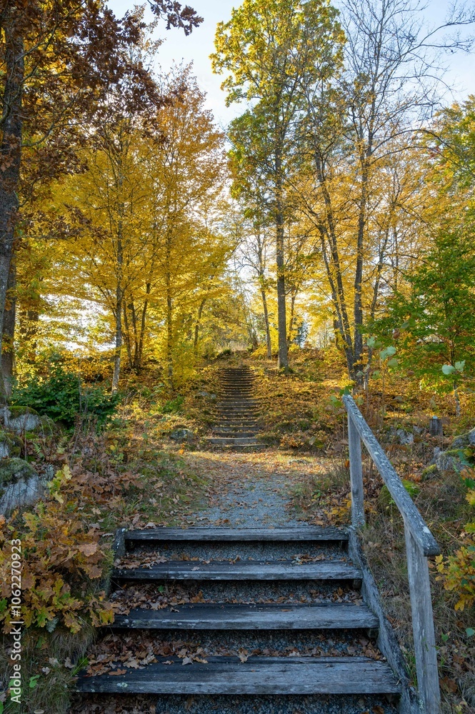 Golden autumn scene with a wooden staircase ascending through a vibrant forest, illuminated by the golden hues of fall foliage, creating a picturesque pathway into nature Golden autumn scene with a wooden staircase ascending through a vibrant forest, illuminated by the golden hues of fall foliage, creating a picturesque pathway into nature