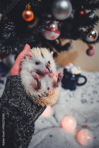 Warm Holiday Moments: Cozy Hedgehog by the Christmas Tree