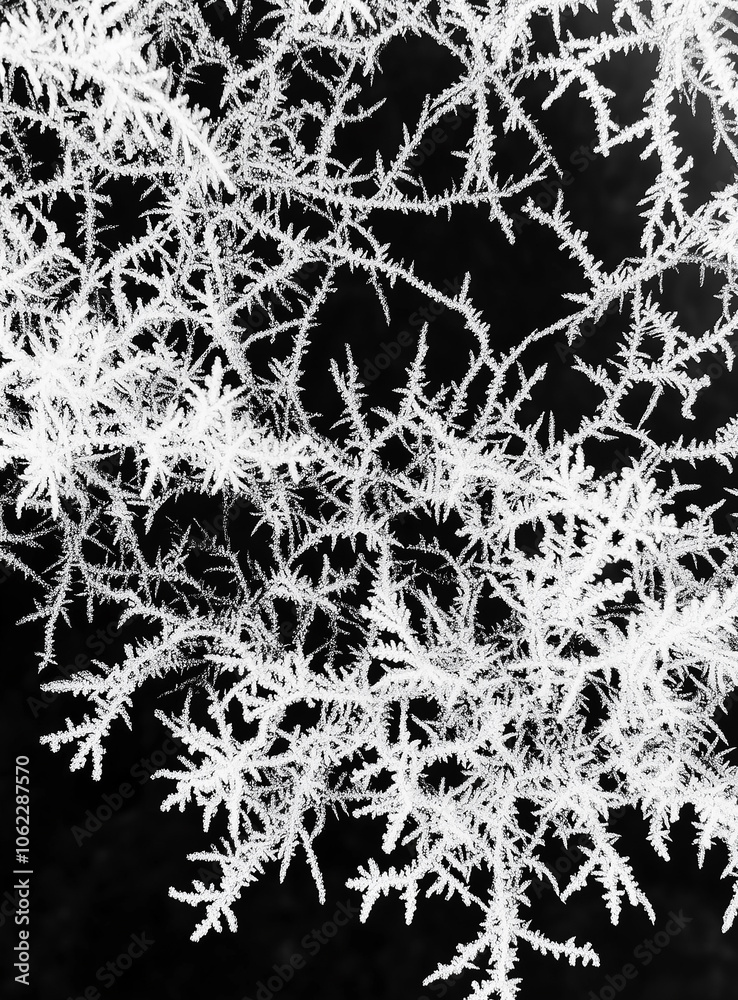 Frozen window with intricate frost patterns Frozen window with intricate frost patterns