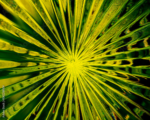 Canvas Print Farbige Christallschale, Christallboden Bunt, Bunter Stern