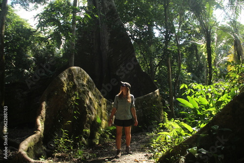 sumaúma de raízes gigantes - apelidada de muralha - na cidade de Afuá, Pará  photo