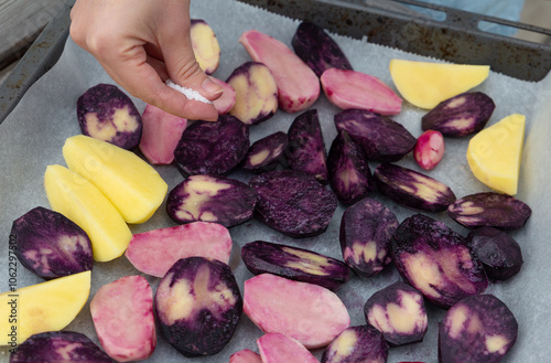 Die bunten rohen Kartoffeln werden vor dem Braten gesalzen. Kartoffelnvielfalt auf dem Blech.