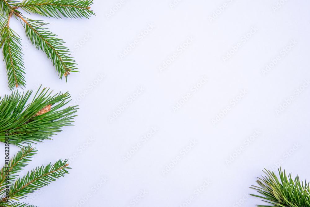 Obraz premium Fresh evergreen branches frame a light backdrop, perfect for holiday decorations and seasonal crafts in winter