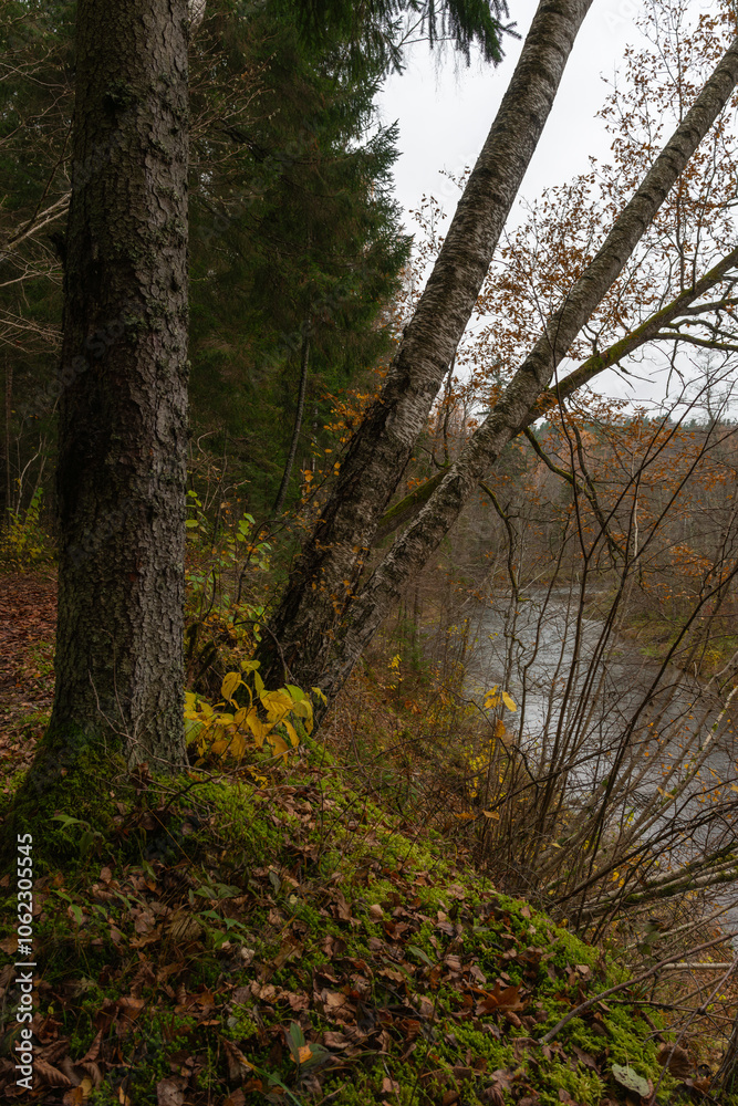 Latvia. Amata nature trail in autumn. Latvia. Amata nature trail in autumn.