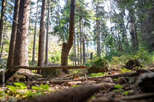 Tatra mountain in Poland