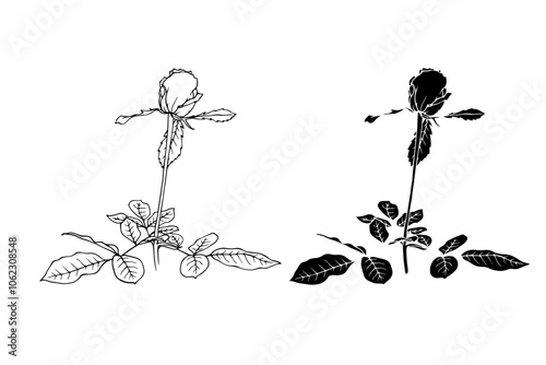 Botanical sketch, stamp, rose flower silhouette. Vector graphics.