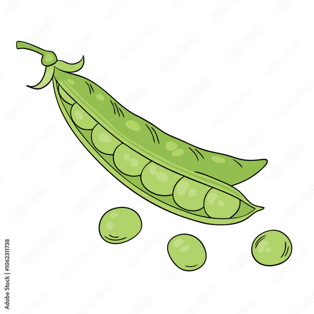 Vector Cartoon Green Peas Pod illustration Vector Cartoon Green Peas Pod illustration