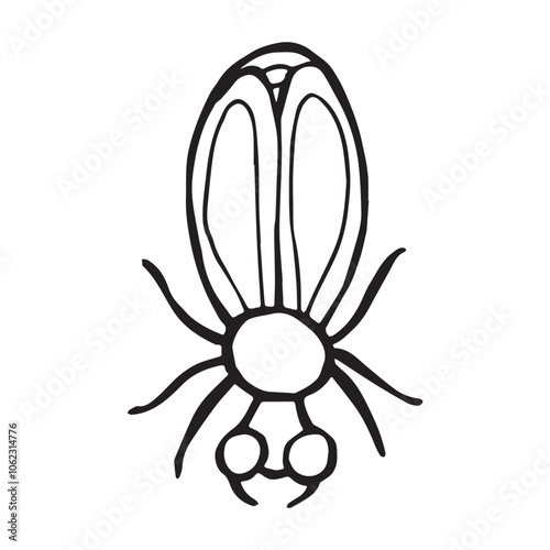 Coloring page of a beetle, bug. Insect outline vector, icon. Hand drawn doodle style, Isolated black line on white.