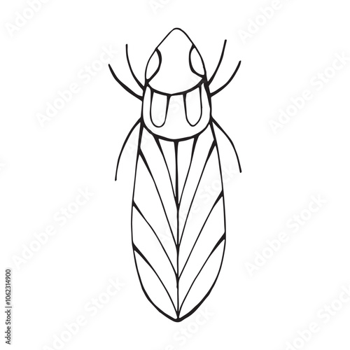 Coloring page of a beetle, bug. Insect outline vector, icon. Hand drawn doodle style, Isolated black line on white.