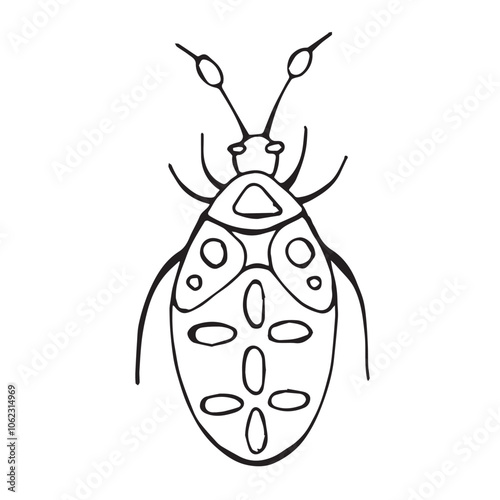 Coloring page of a beetle, bug. Insect outline vector, icon. Hand drawn doodle style, Isolated black line on white.