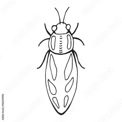 Coloring page of a beetle, bug. Insect outline vector, icon. Hand drawn doodle style, Isolated black line on white.