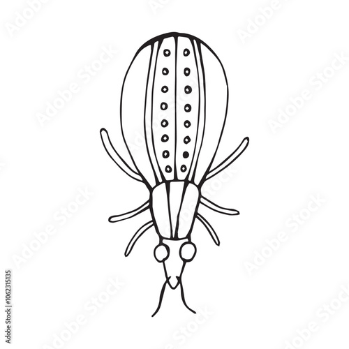 Coloring page of a beetle, bug. Insect outline vector, icon. Hand drawn doodle style, Isolated black line on white.