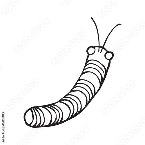 Coloring page of a beetle, bug. Insect outline vector, icon. Hand drawn doodle style, Isolated black line on white.