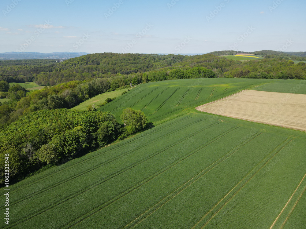 View from above of green wheat, green barley and forest trees in the countryside in spring View from above of green wheat, green barley and forest trees in the countryside in spring