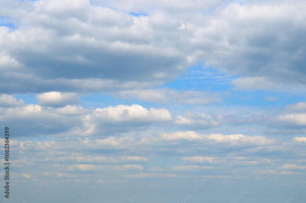 Fototapeta premium Blue bright sky with cumulus clouds.