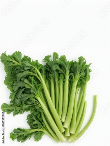 Fresh Green Celery Stalks and Leaves Isolated on White Background