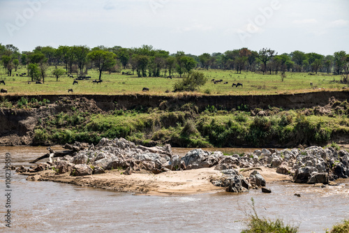 Slika na platnu Quer durch die Serengeti