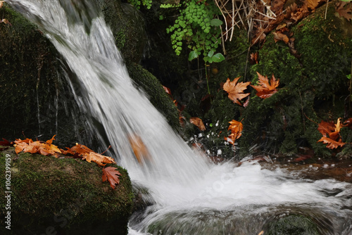 Waterfall and Autumn Leaves