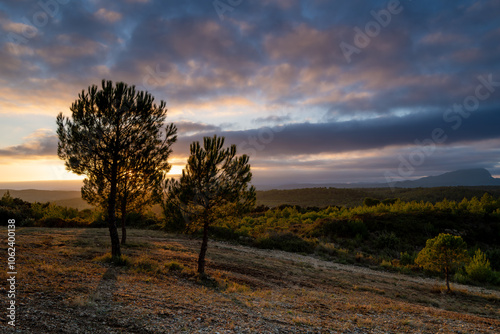 coucher de soleil aux tons violets du haut du sommet d'une colline avec deux arbres en contre jour photo