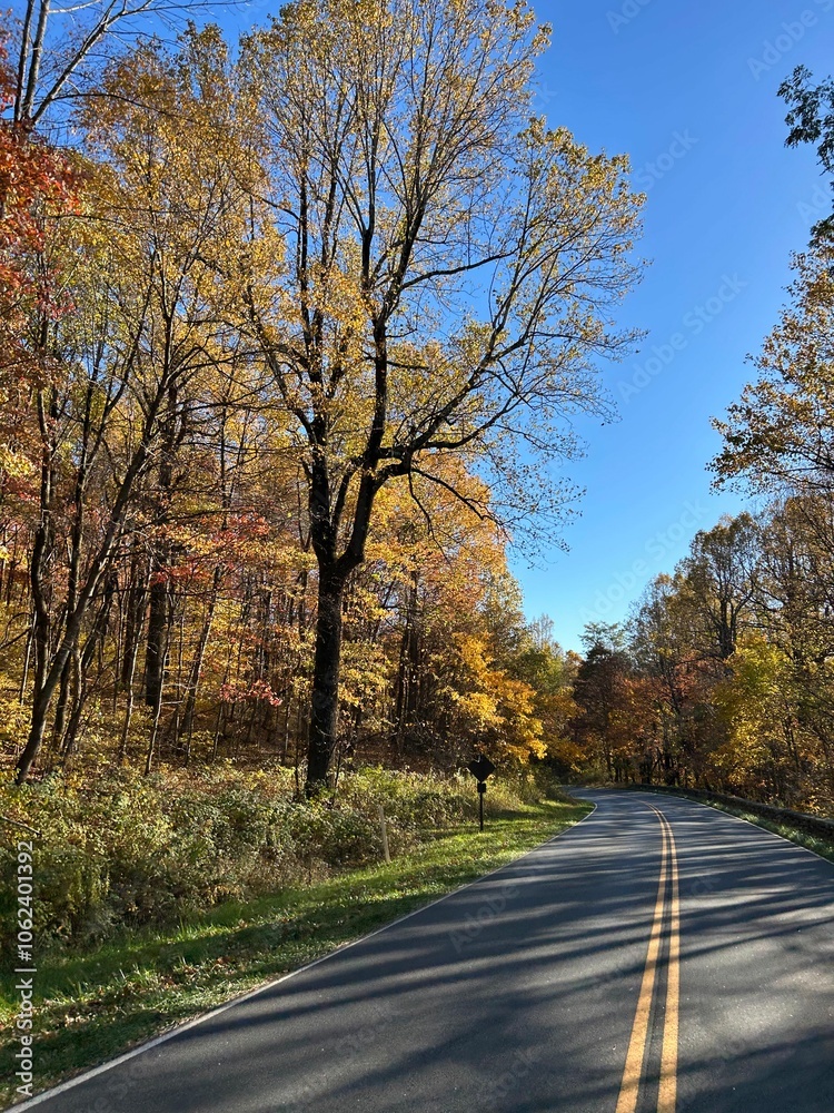 Scenic drive through fall foliage Scenic drive through fall foliage