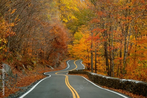 A winding road lined with colorful autumn trees on Storm King Highway, Cornwall-on-Hudson, New York.