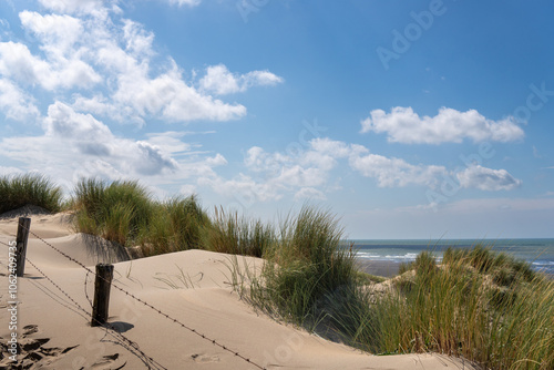 From the dunes to the sea