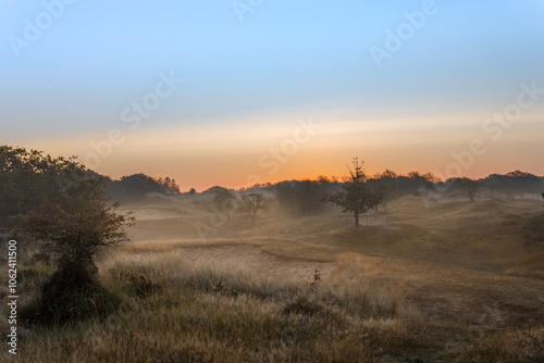 Dutch Dunes in the Dawn