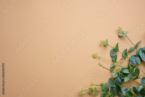 Branch with green leaves on a brown background