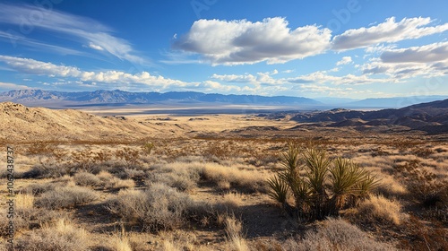 Panoramic view of a desert landscape with mountains in the distance.