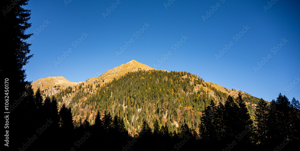Pilzano, trentino alto adige, Bolzano, italy,