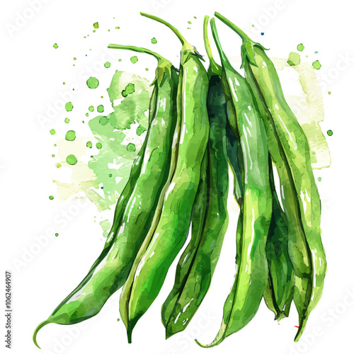 A watercolor vector of French Beans, isolated on a white background.