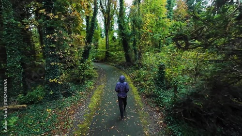 Woman in hooded jacket hiking trough green forest at Coole Park nature reserve, Galway, Ireland, sport and activity, adventure and lifestyle, 4k, aerial