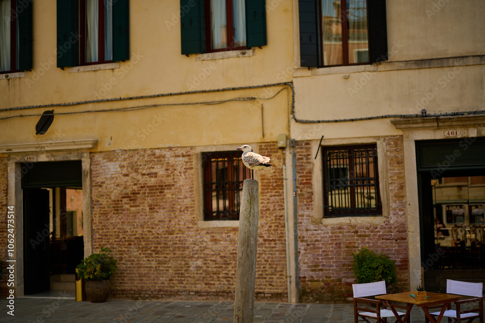 Venice and it's boats canals and ancient history Venice and it's boats canals and ancient history