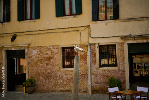 Venice and it's boats canals and ancient history