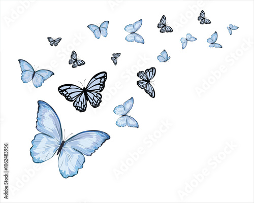flock new butterfly pink news blue vector
