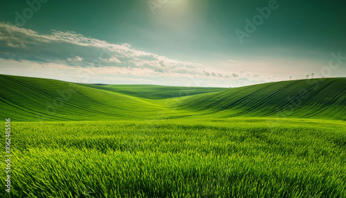 Close-Up of a Landscape with Green Fields