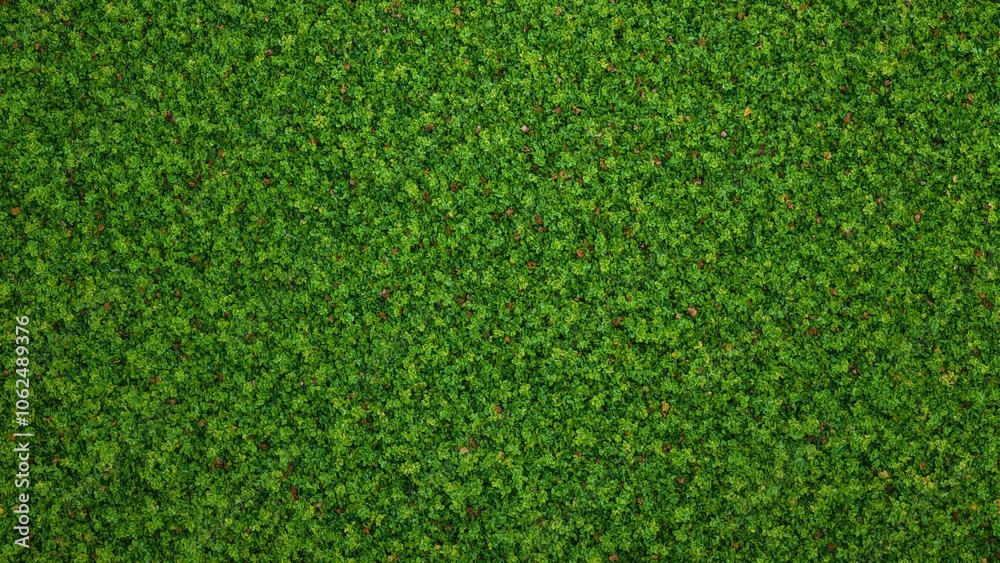 Obraz premium Vibrant orange tree leaves creating a fresh pattern