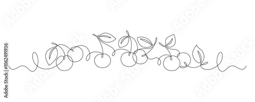 Fresh cherries, continuous line drawing in minimalism, single line, sweet berries, editable vector outline.