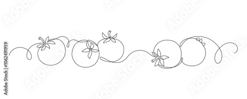 Fresh tomatoes drawn with continuous line in minimalism, one line, editable vector outline.
