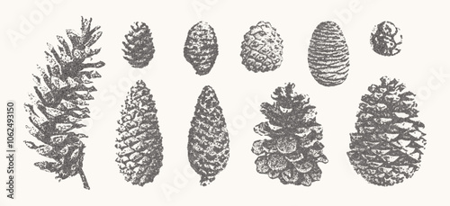 Pine cones set. Christmas stippling photocopy illustration